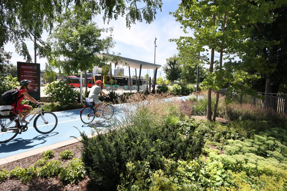 Personen auf Fahrrad im Grünen